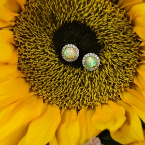 Opal Halo Earrings